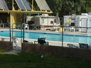 Victory Ranch Pool