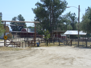Victory Ranch Stables